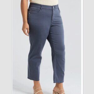 NEW NWT Wit & Wisdom "Ab" solution Ankle Skimmer Shadow Grey 10P